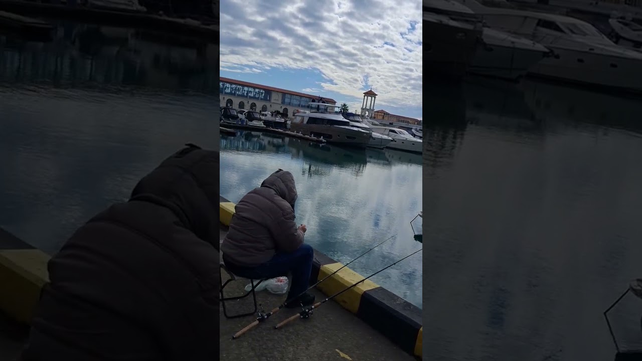 24.  02.  2026г.,, Я  И. МОРЕ,,❤️❤️❤️!!!