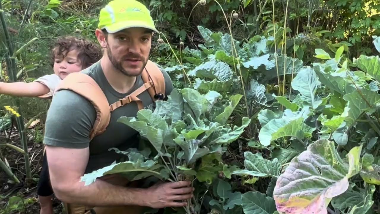 Discover 6 Perennial Kales and Tree Collards!