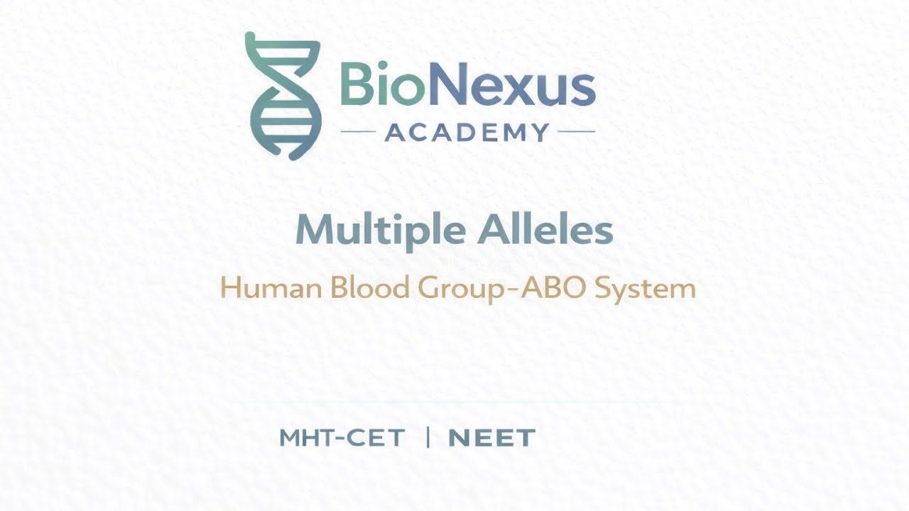Multiple Alleles| Genetics | Human Blood Group – ABO System | HSC Biology | MHT-CET | NEET 