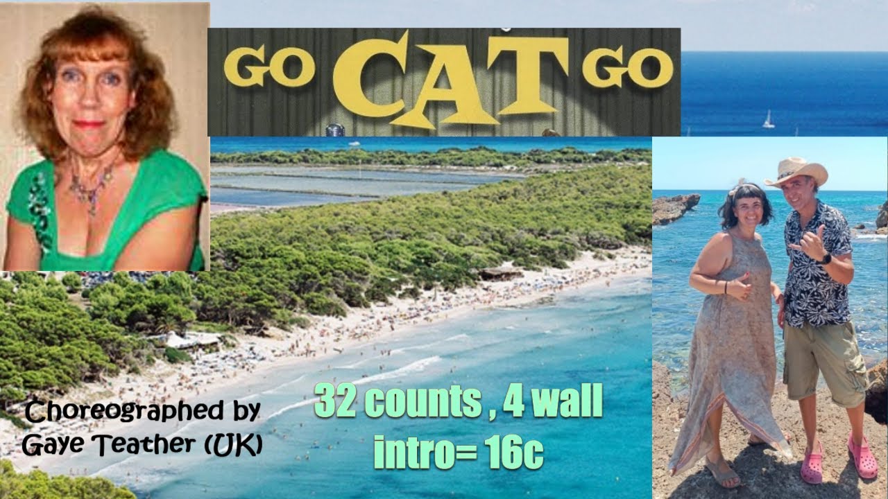 Go Cat Go