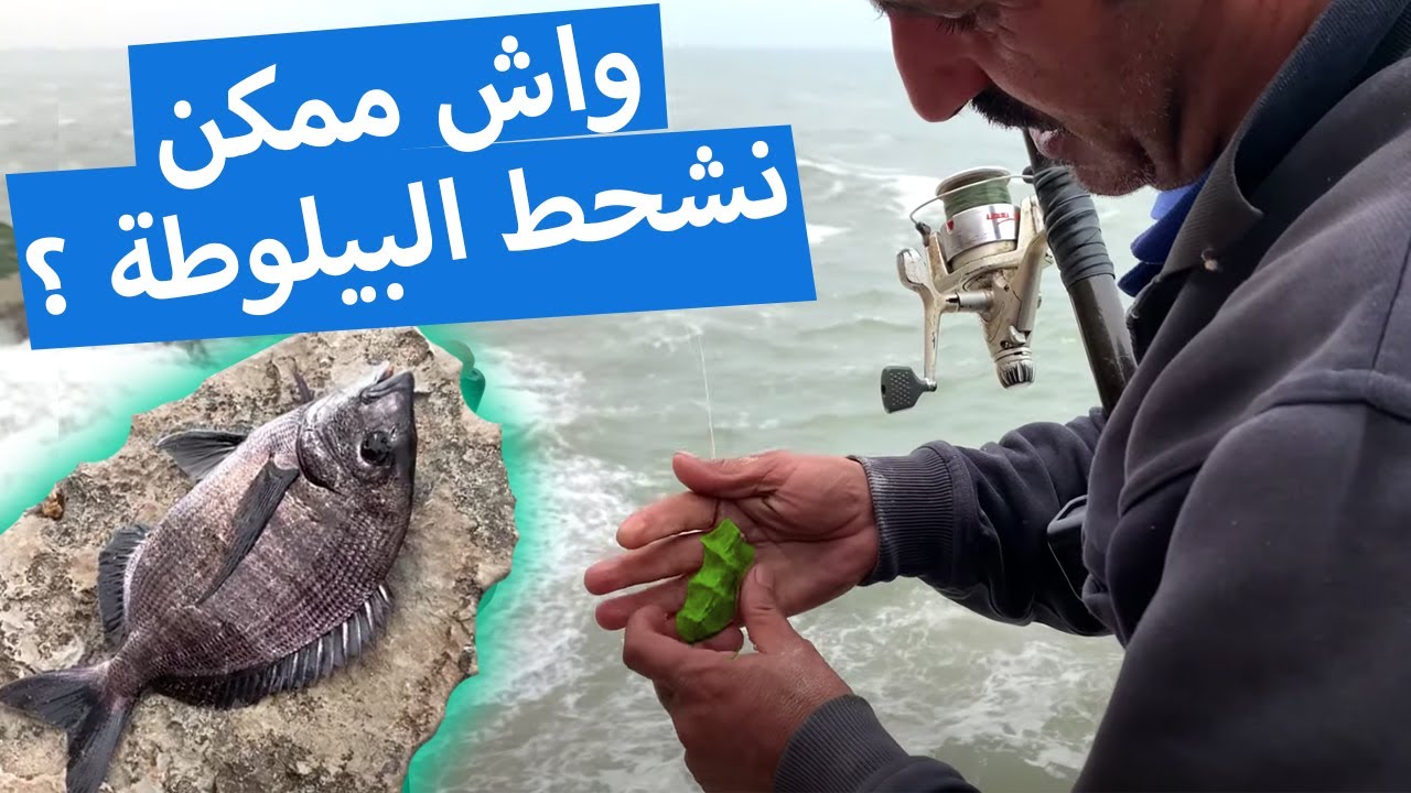 تجربة رمي البيلوطة لمسافة بعيدة مع الحصيلة