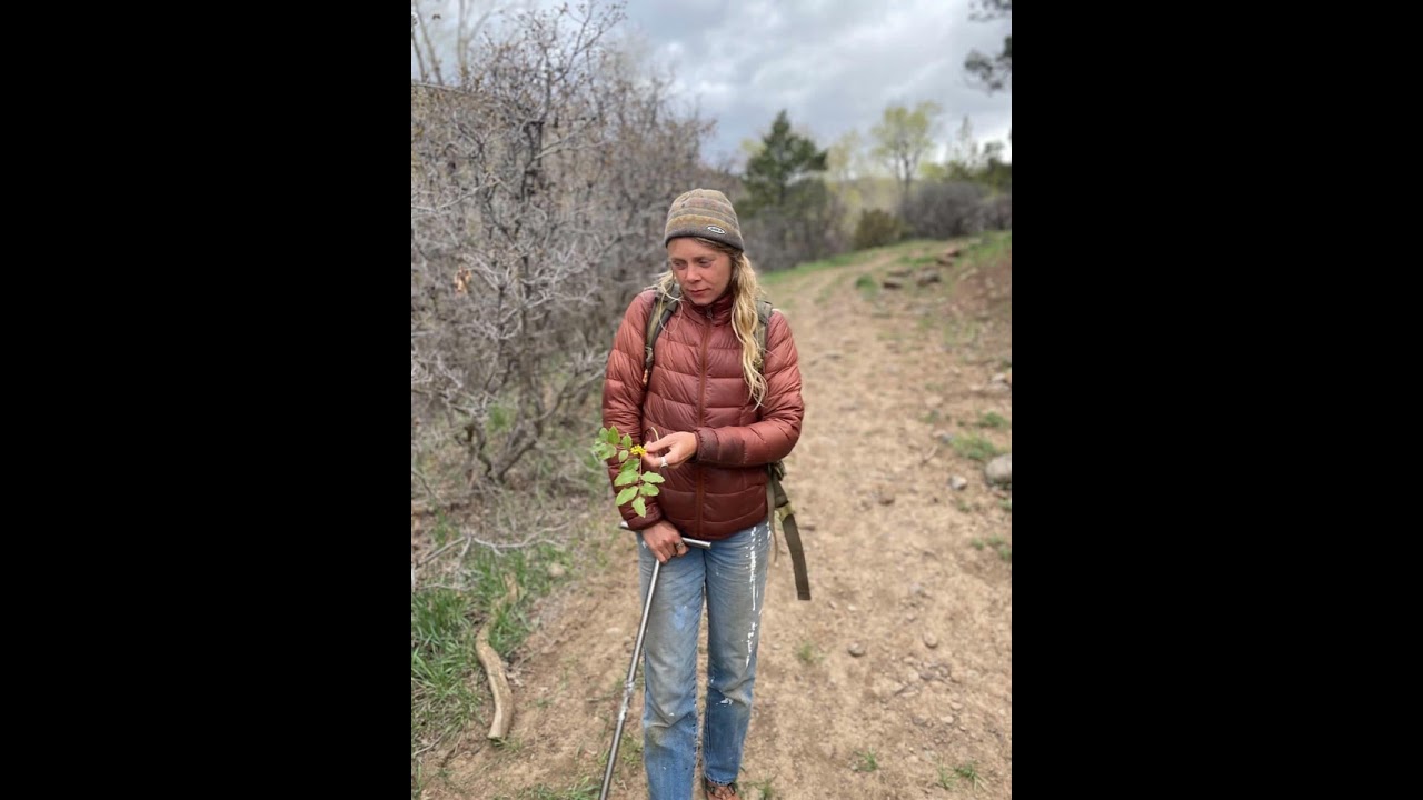Kelly solo on teaching riparian ecology, preparing for a season on the land