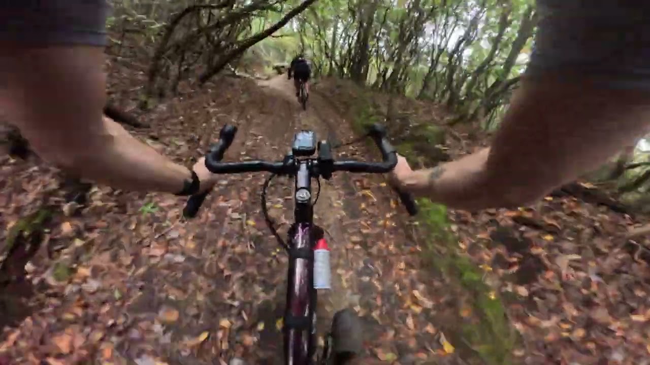 Brevard Gravel - Roll Call Route (ish)
