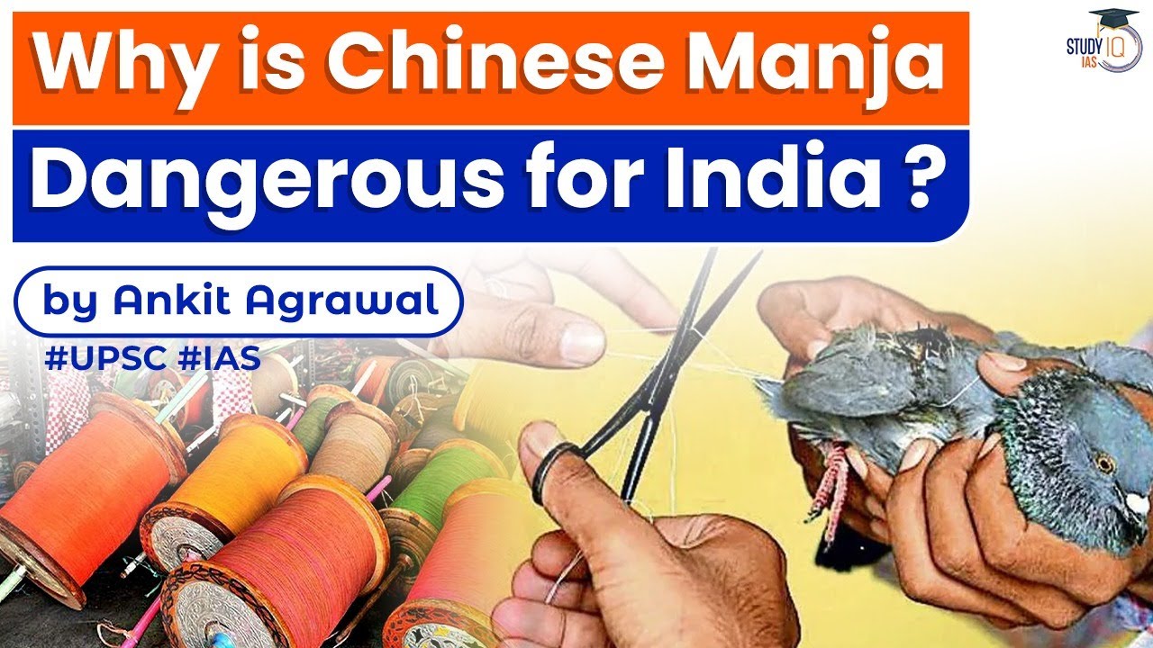 Why Chinese Manja is so dangerous? Chinese Manja's impact on Birds & Human beings | StudyIQ IAS