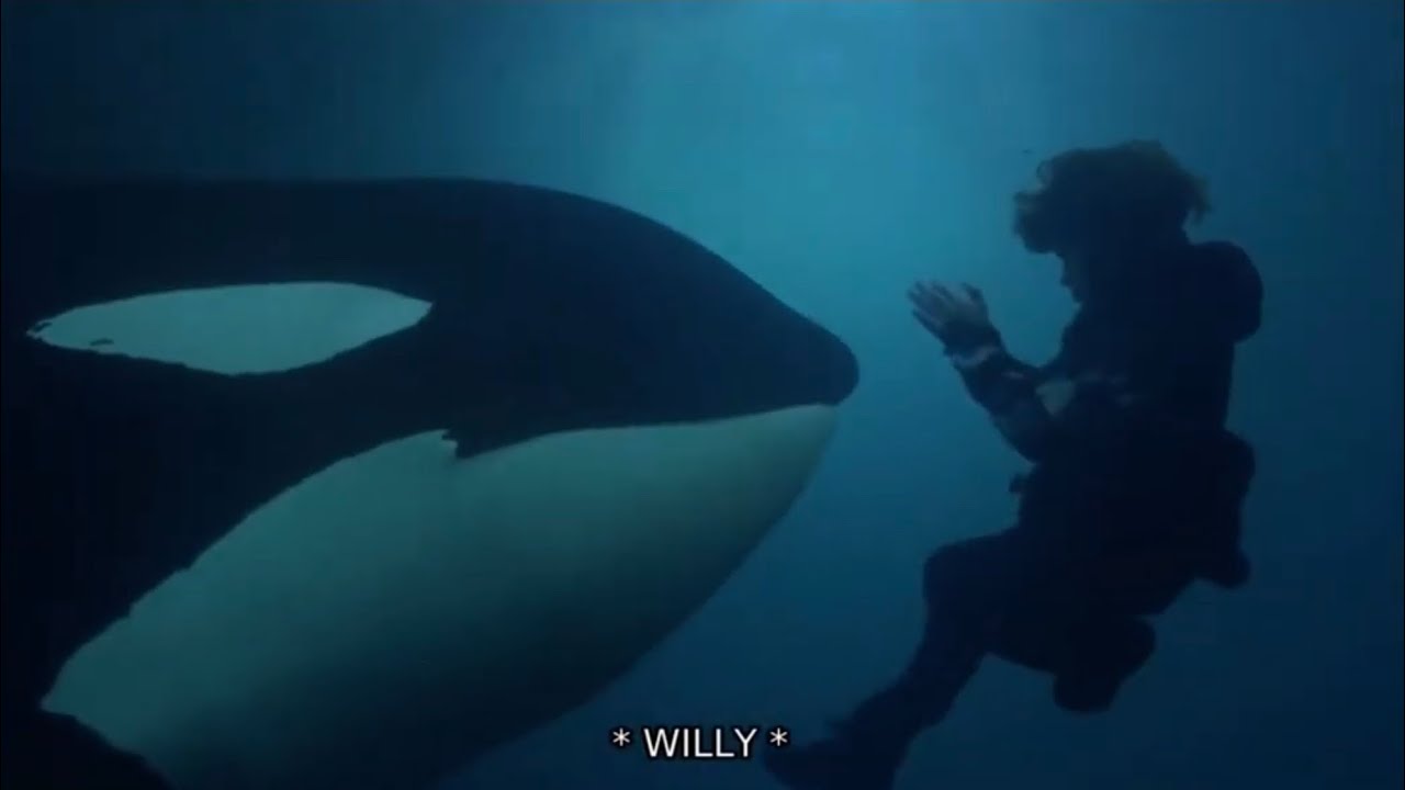 Free Willy 3: The Rescue (1997) Max Falls Into The Ocean And Meets Willy