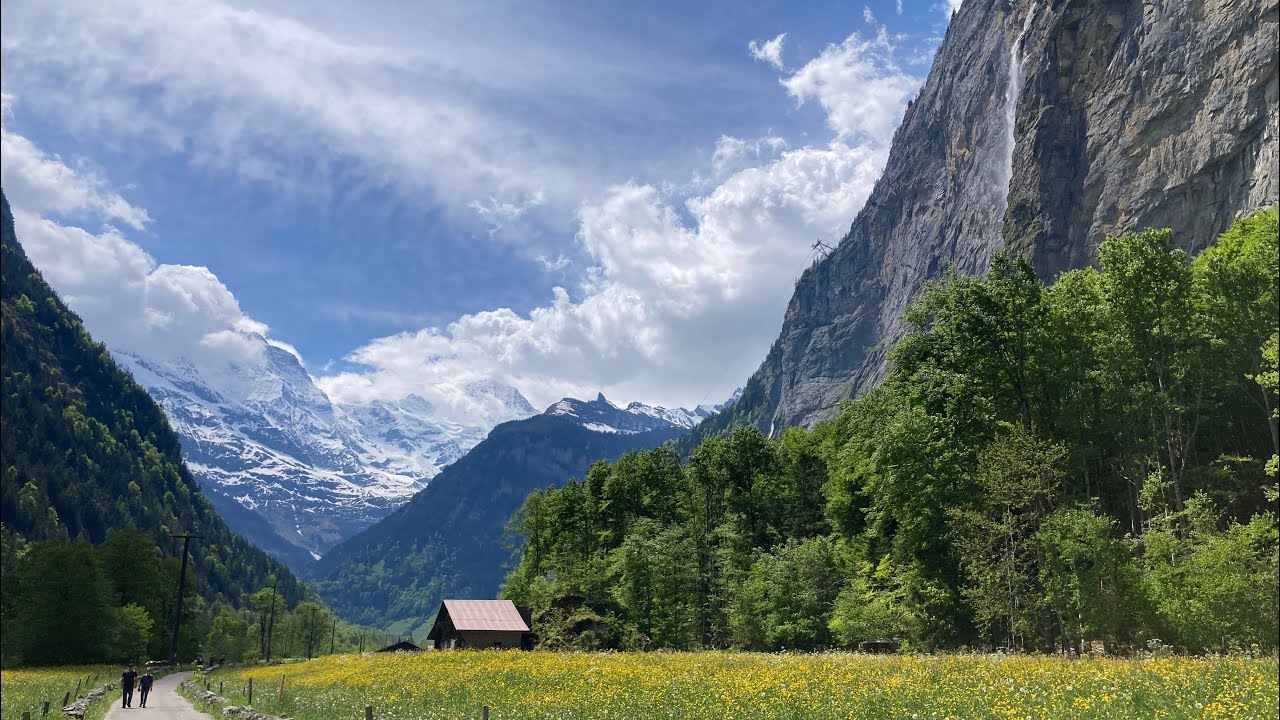 ご報告あり　Lauterbrunnen 🇨🇭 Nala散歩