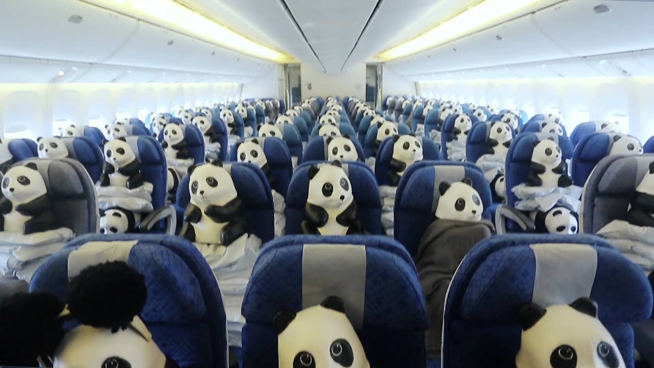 1600 Pandas onboard 
