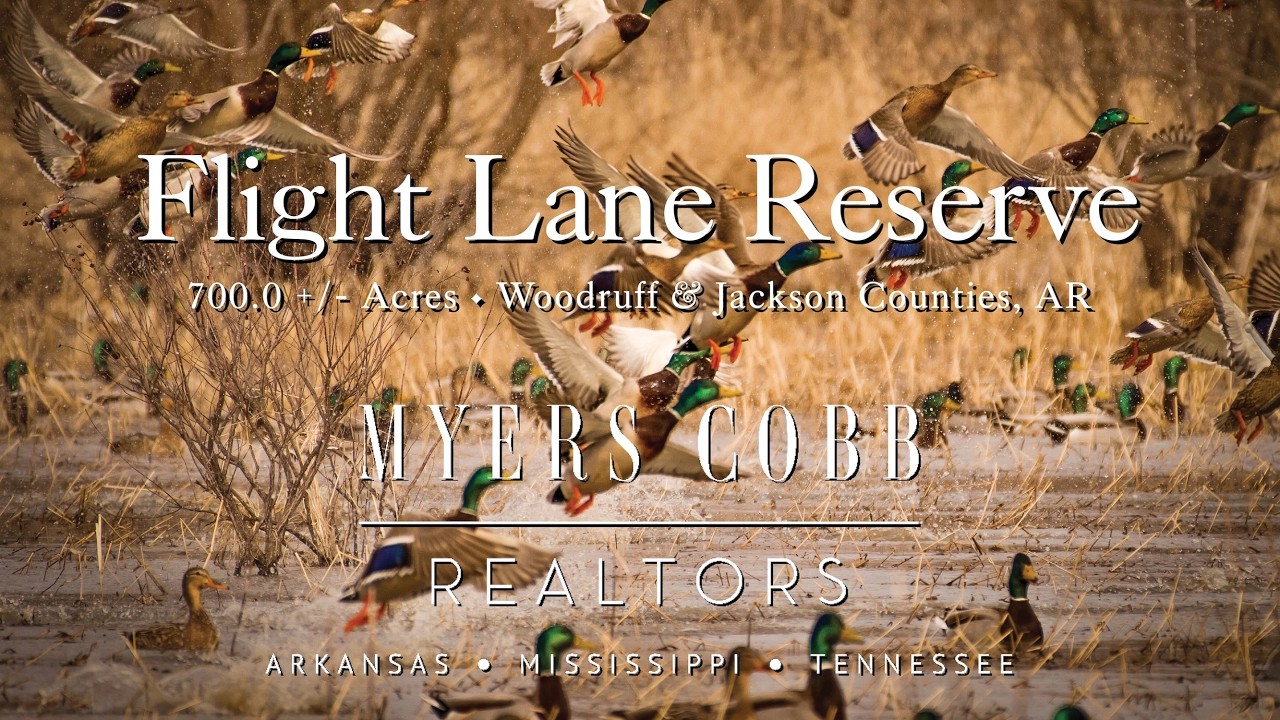 Flight Lane Reserve