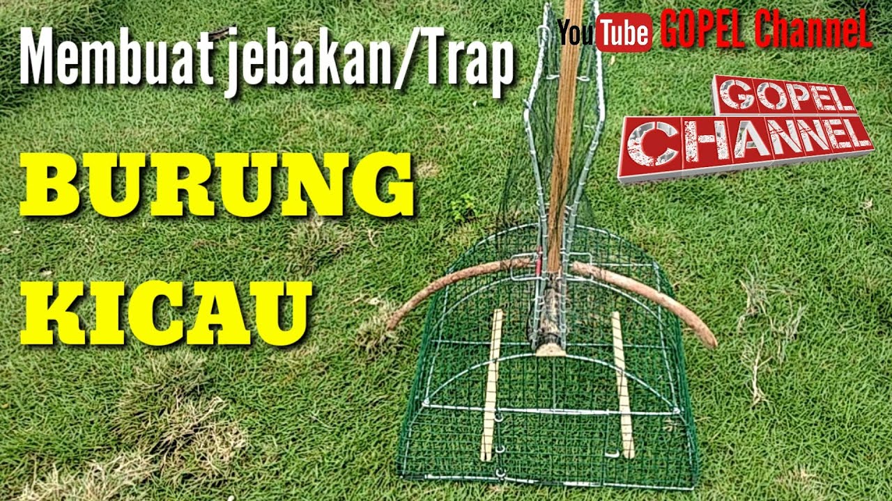 Membuat jebakan burung kicau.trap burung kicau.DARI AWAL SAMPAI SELESAI.