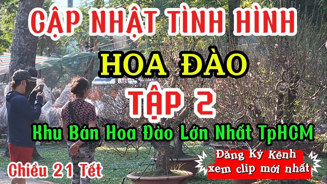 NƠI BÁN ĐÀO LỚN NHẤT TPHCM - ĐÀO CHƠI TẾT 2026 (TẬP 2)