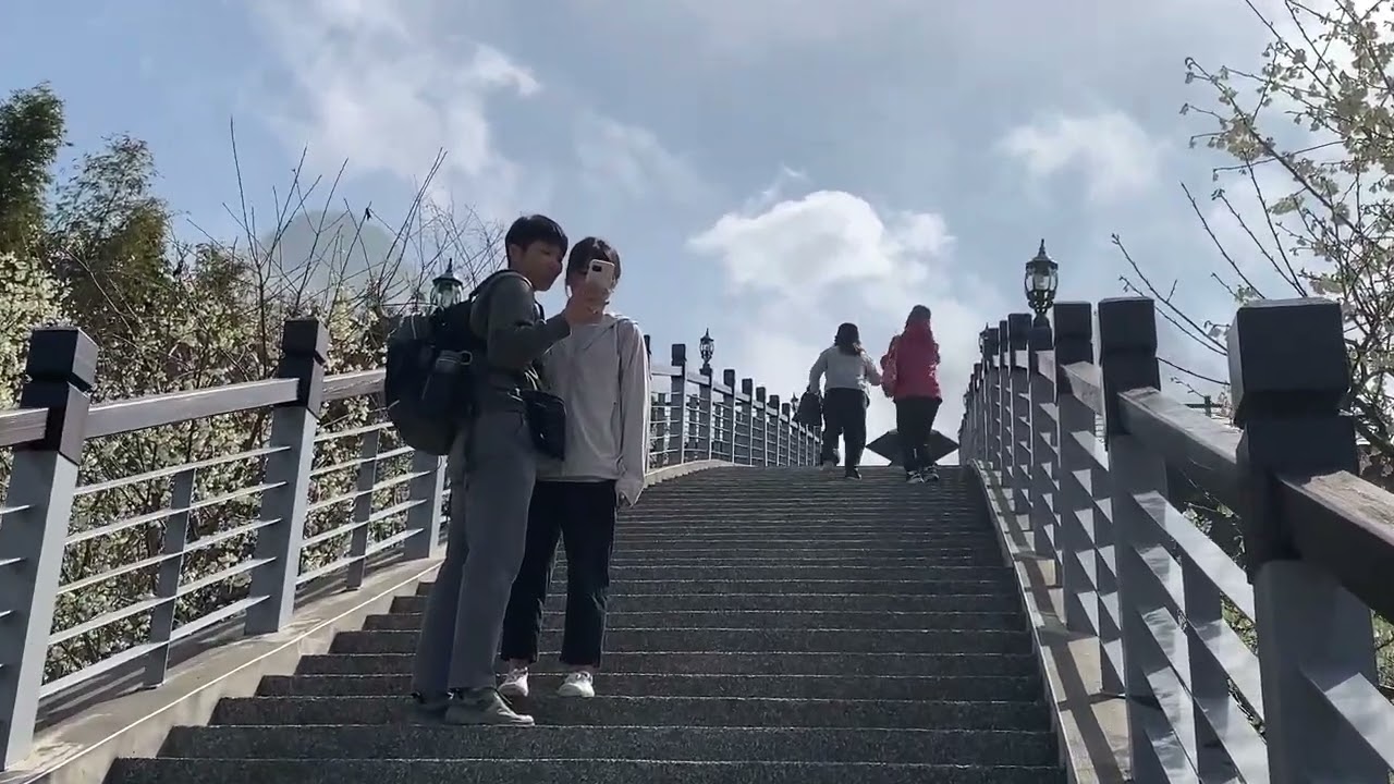 嘉義梅山·寒溪呢｜福爾摩沙白櫻大道.看雲海.闖八卦陣.群山環繞，遠離塵囂，深山的彼方桃花源世界…