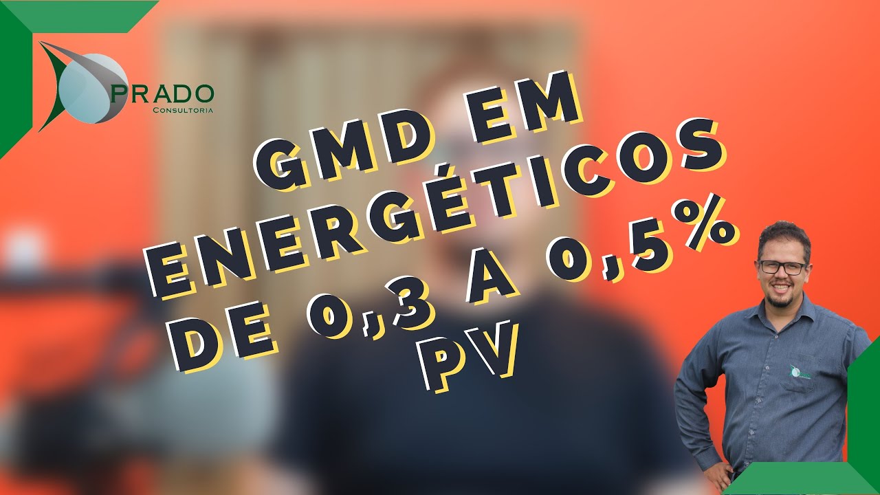 Qual o GMD estimado para consumos de 0,3 a 0,5% do Peso vivo no período seco? - P&R Prado