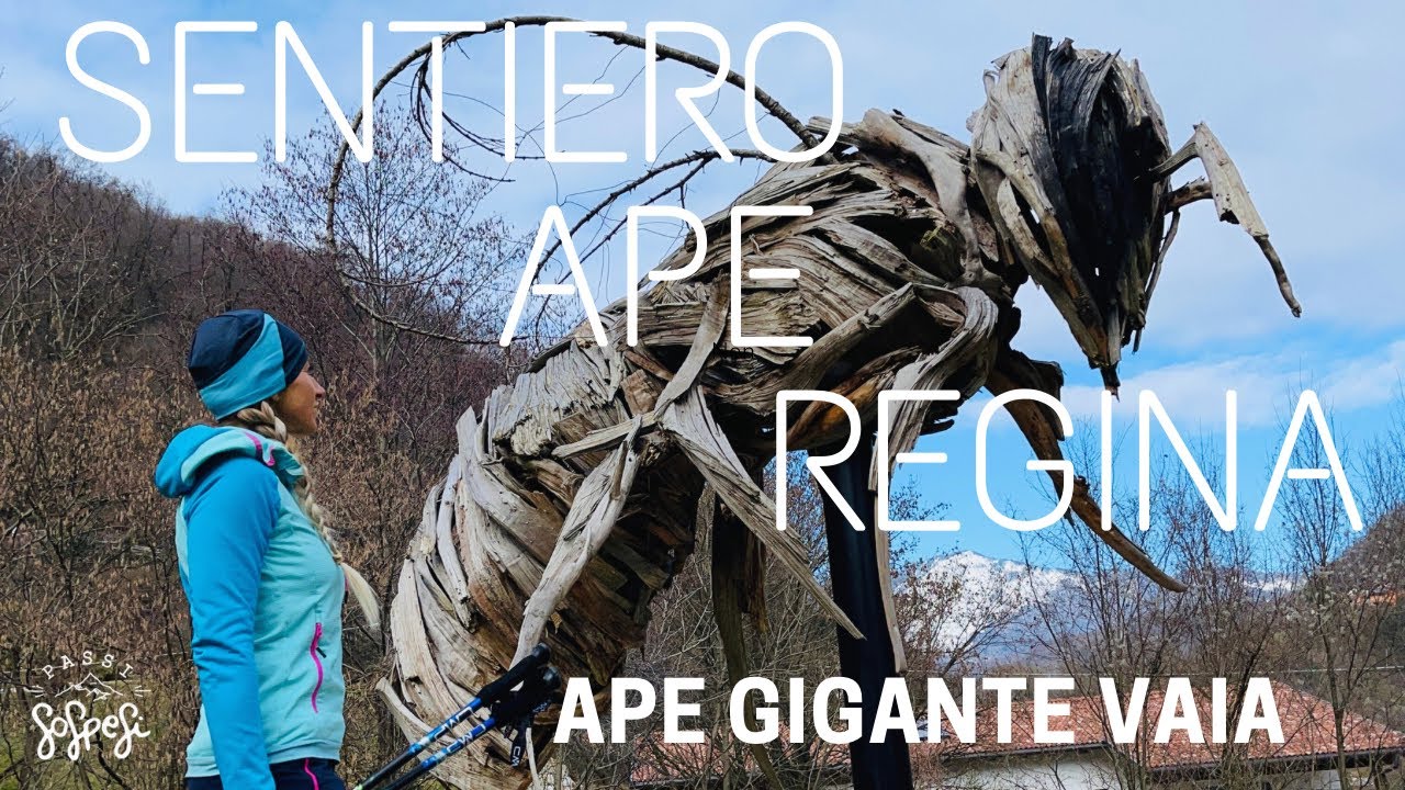 Sentiero Ape Regina | San Pietro Mussolino - APE GIGANTE VAIA