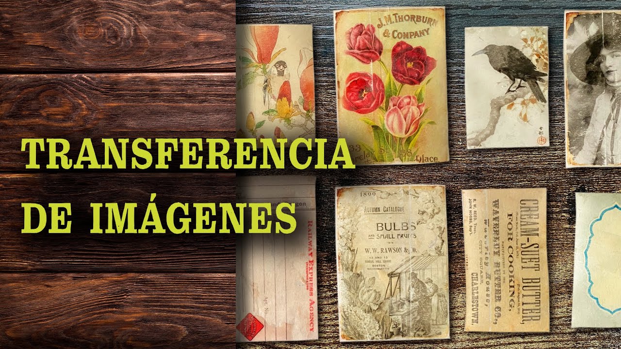 ⭐️ Transferencia de imágenes ¡Muy fácil!