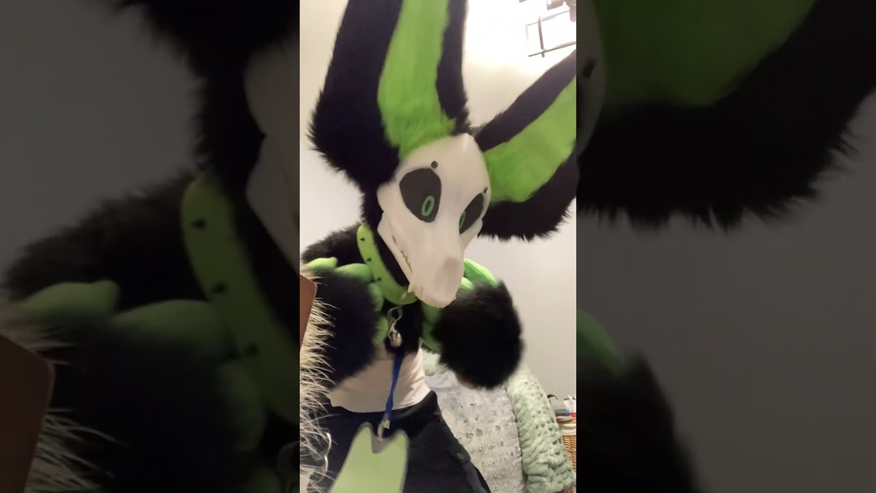 I love being me #fursuit #furr #furries #furrie #fursuiters #furlover