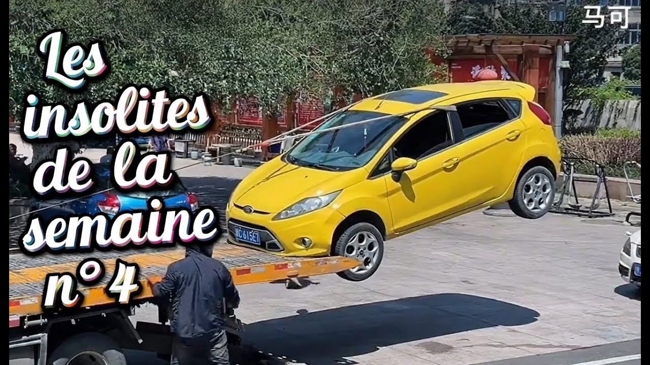 Les insolites de la semaine n°4