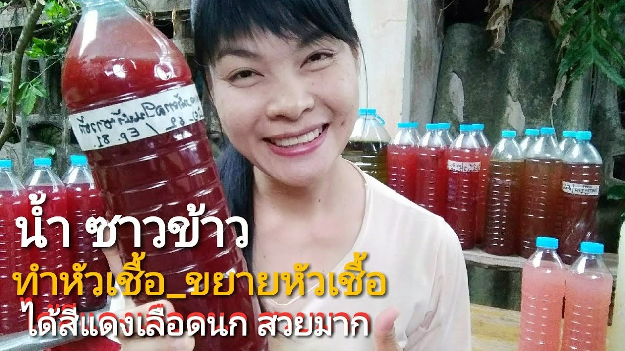 จุลินทรีย์ สังเคราะห์แสง Ep.112_วิธีทำหัวเชื้อ และ ขยายเชื้อ จากน้ำซาวข้าว ได้ สีแดงเลือดนก สวยมาก