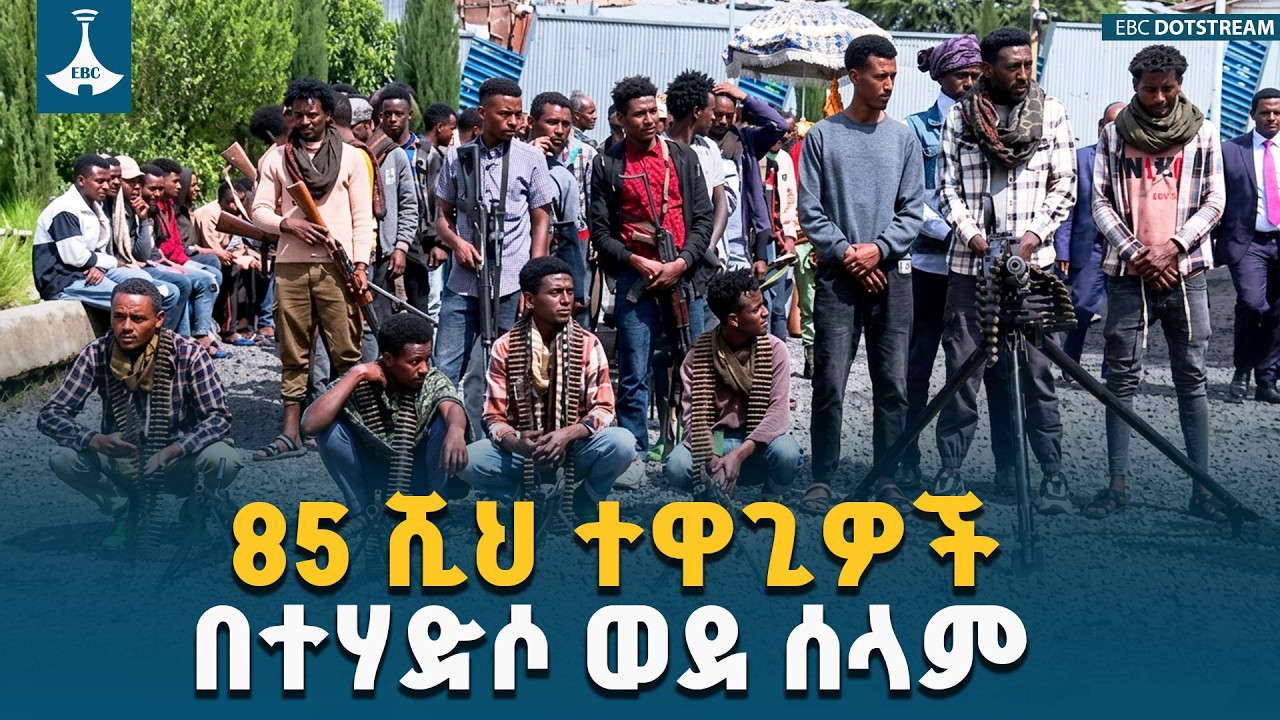 በተለያዩ ክልሎች ከ85 ሺህ በላይ የቀድሞ ተዋጊዎች በተሃድሶ ሂደት እንዲያልፉ ተደርጓል | Reintegration Process | Disarmament