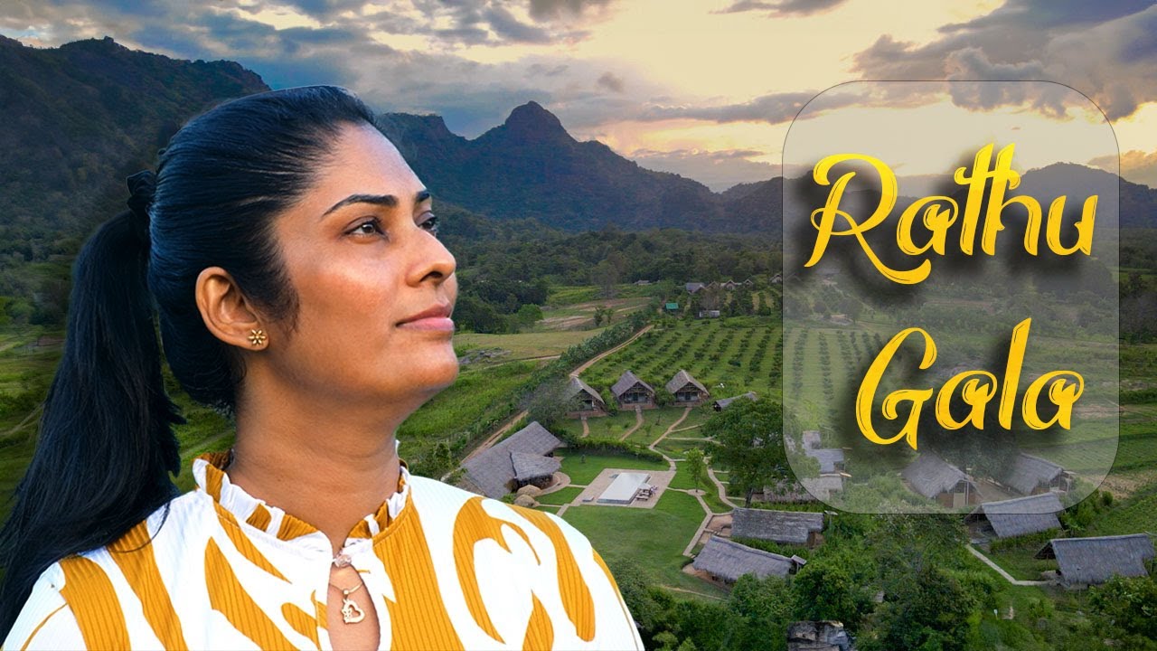 Luxury වැදී ගමක නිවාඩුවක්  | Wild Glamping Gal Oya | Gal Oya Epi 2