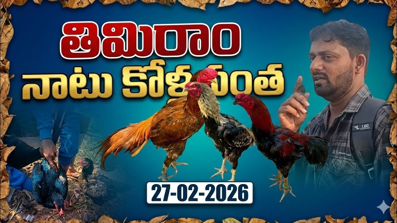 తిమిరాం నాటు కోళ్ల సంత 27/2/2026 శుక్రవారం అనకాపల్లి జిల్లా జాయిన్ జాయిన్ వాట్స్అప్ 6303532636