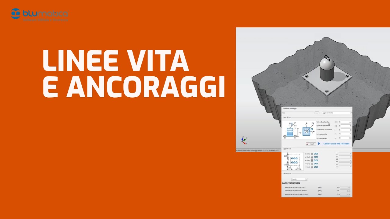 Linee Vita e Ancoraggi