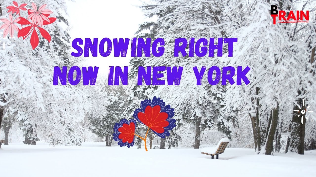 Snowing Right Now in New York | Snow Time