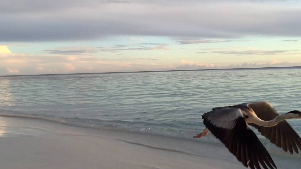 Angaga Maldives 2015