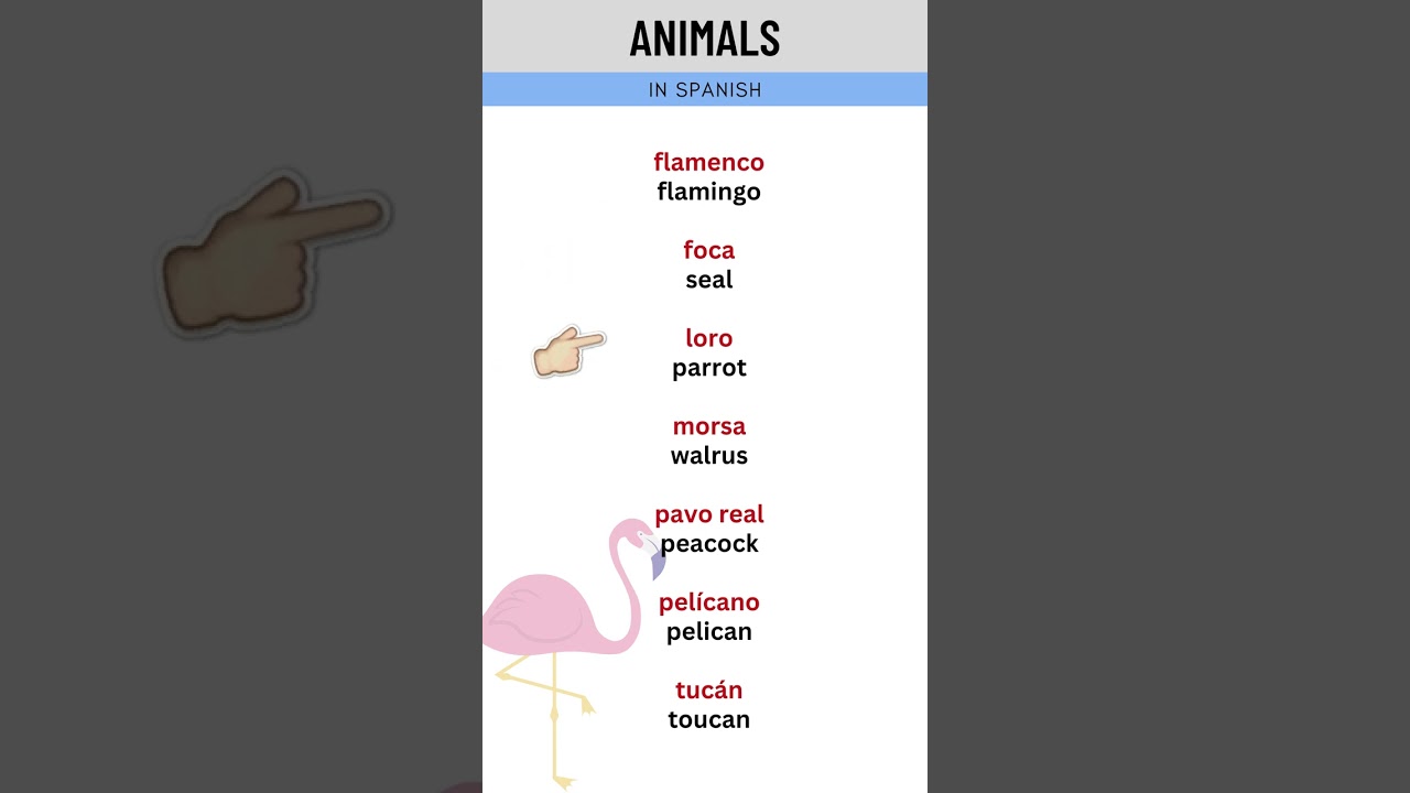 Animals - SimpleSpanish