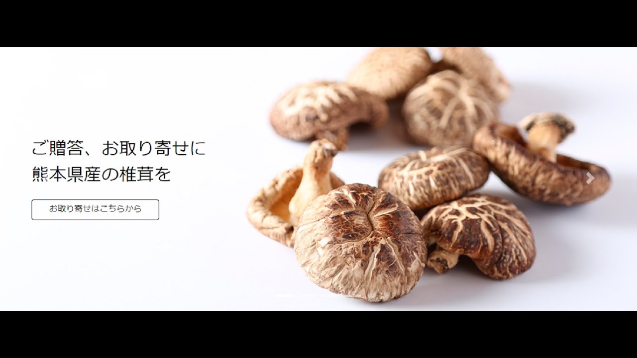 【しいたけ栽培方法】熊本県椎茸農業協同組合　＃しいたけ＃たねこま＃しいたけのたね