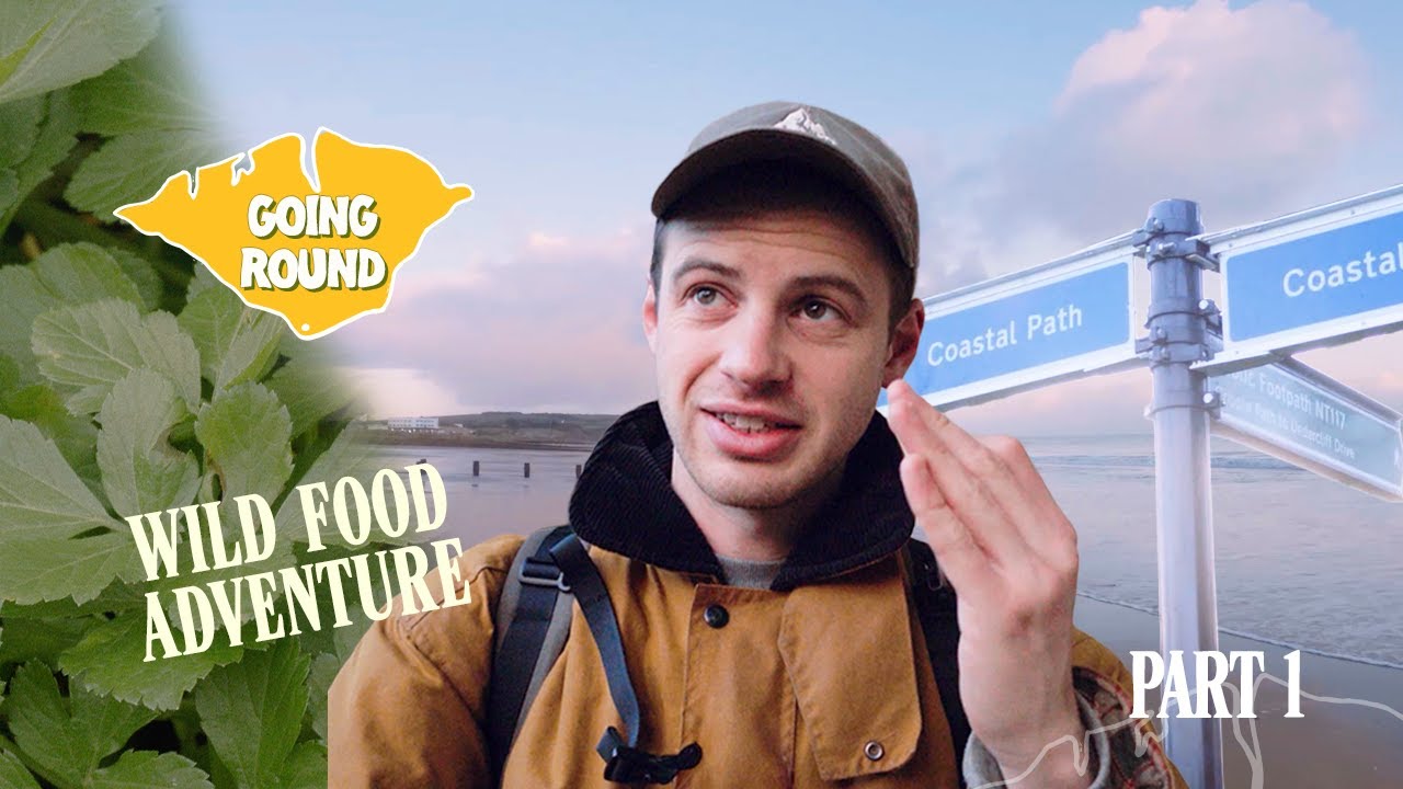 Can I Walk The Coastal Path on 100% Wild Food? 🌱 75 Mile Foraging Challenge (Part 1)
