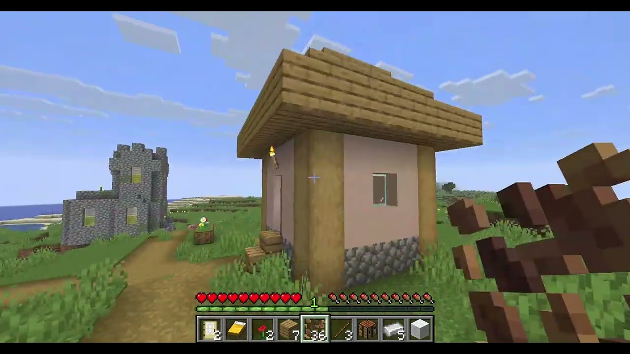 I play Minecraft