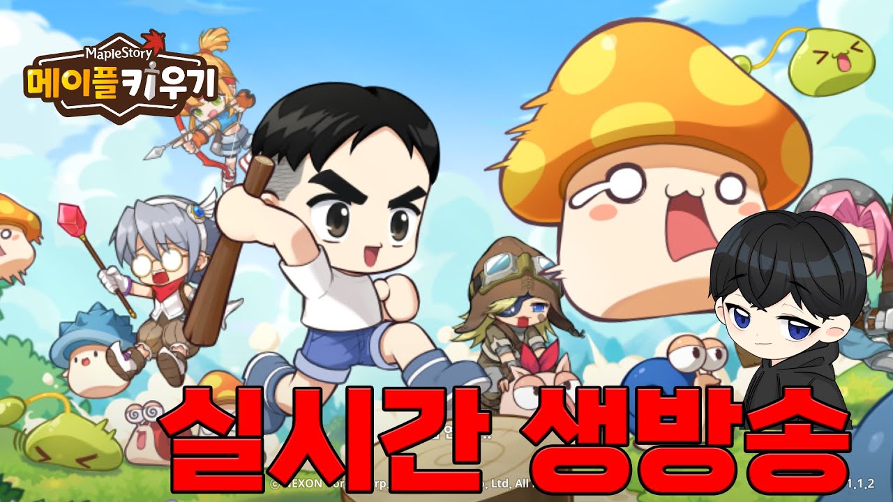 [메이플 키우기] 주간패키지사고 스펙업 ㄱㄱ 광고X #메이플스토리