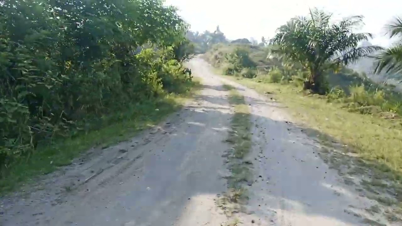 This is the way going home 🏠