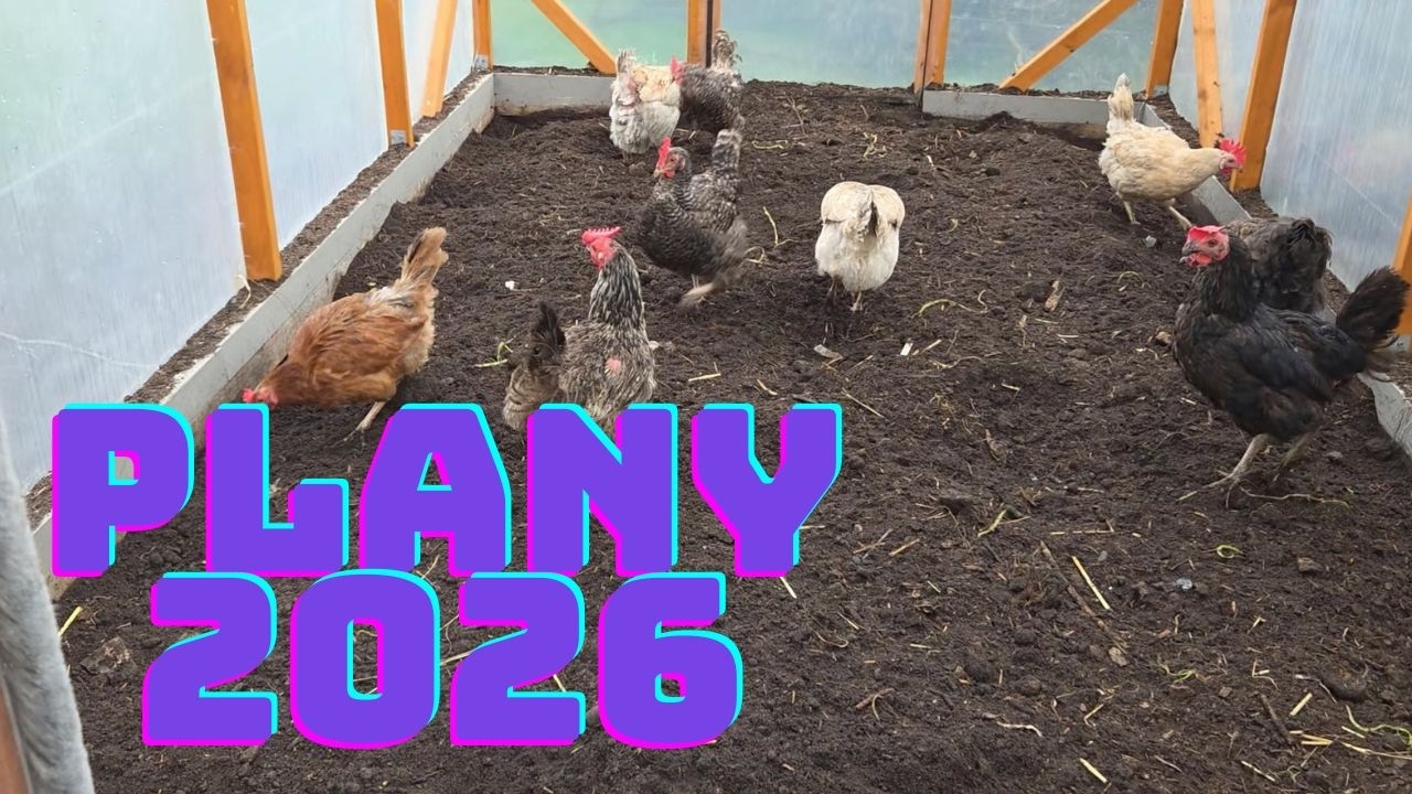 Vlog Zimowy - Zamykamy 2025, planujemy 2026