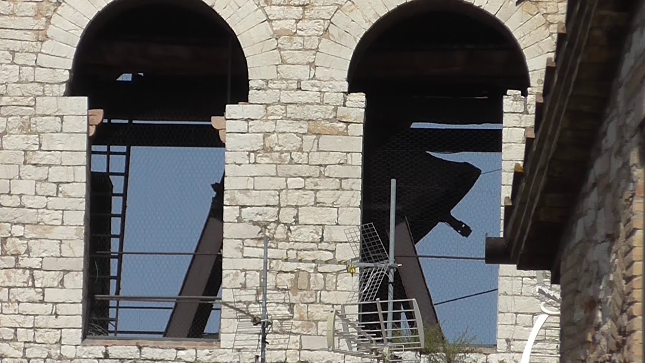 Campana delle Laudi, Torre del Popolo di Assisi (PG) (02) v.057