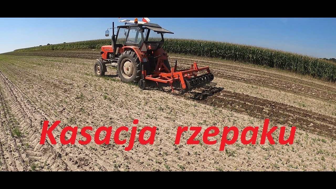 Kasacja Rzepaku Ursus C-360 i Gruber