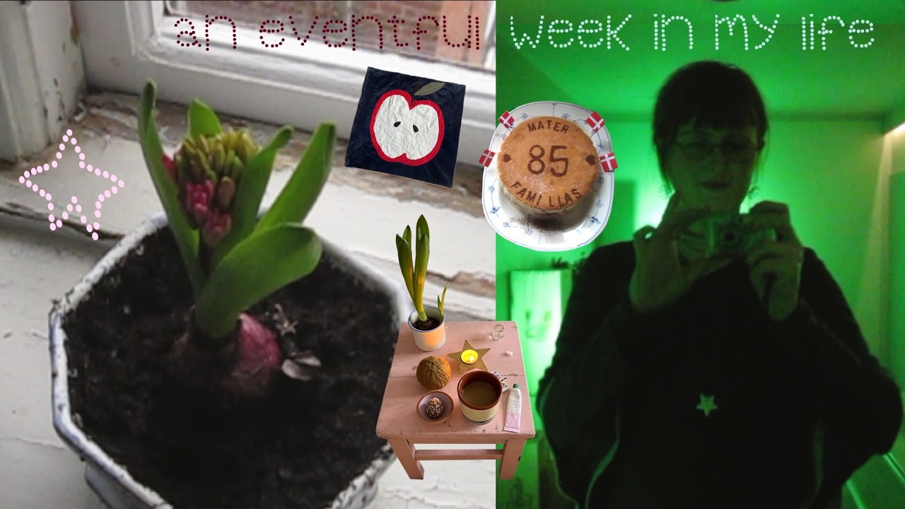 exciting week in my life (museum, concert, family birthday etc) ★