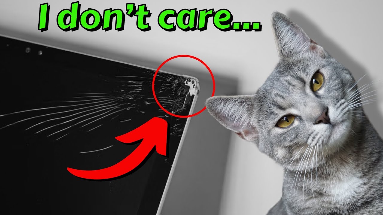 Tales From Tech Support - That's not food!