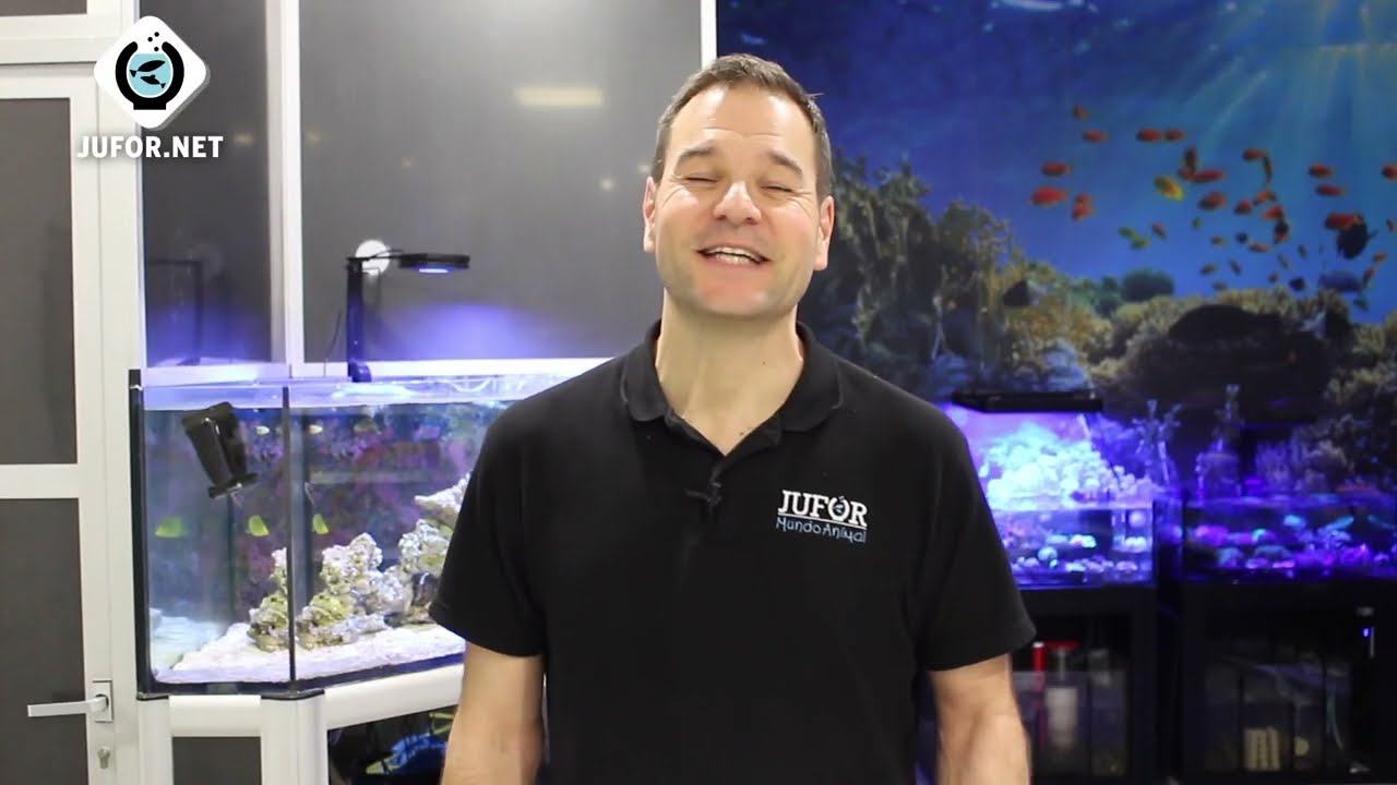 PLACTON MARINO y sus beneficios para nuestro acuario