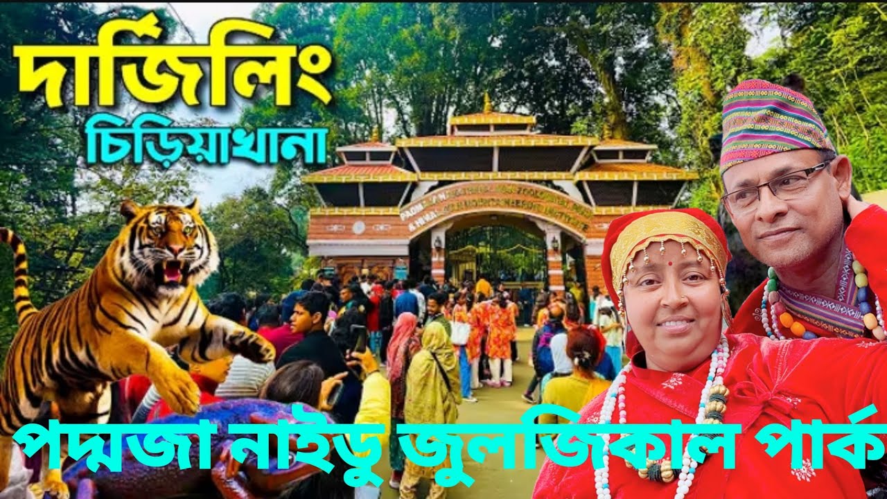 DARJEELING ZOO🦁/ Padmaja Naidu Zoological/best place in Darjeeling /