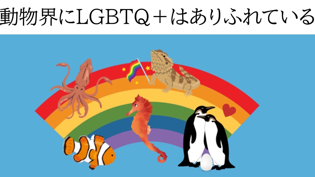 【水曜日のLGBTQ＋】愛と差別と友情とLGBTQ＋ 第8回