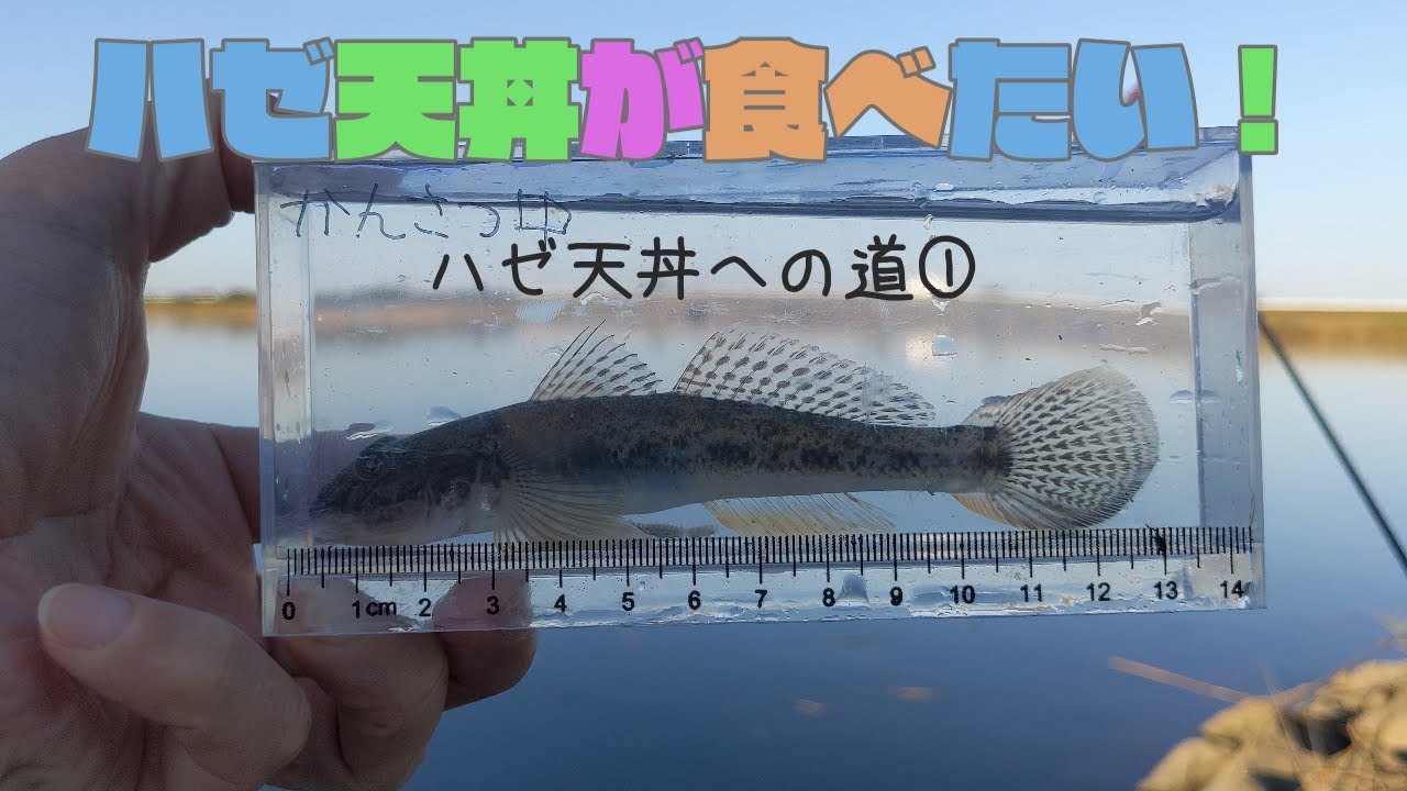 【ちょい投げ釣り】ハゼ天丼への道①