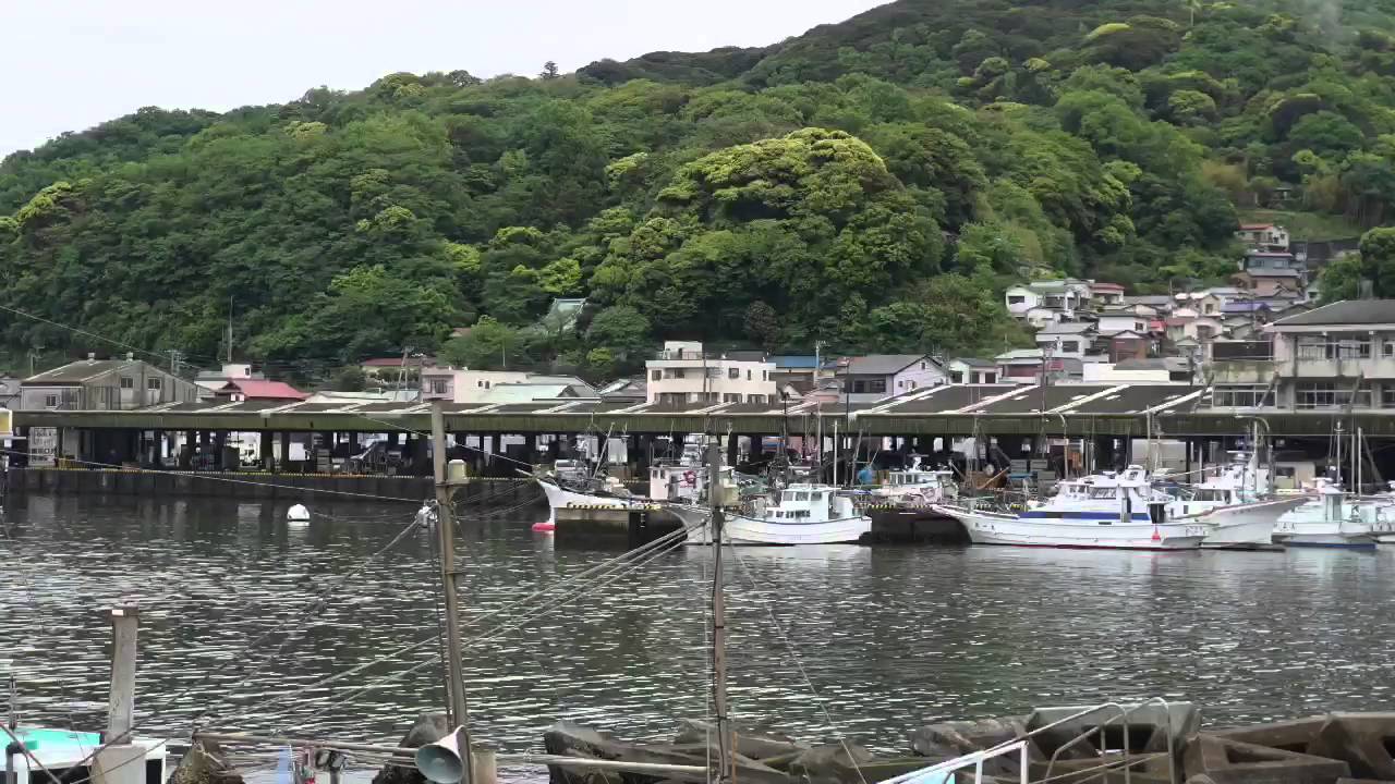 伊豆の旅  1日目  錦ヶ浦   城ヶ崎吊り橋を散策