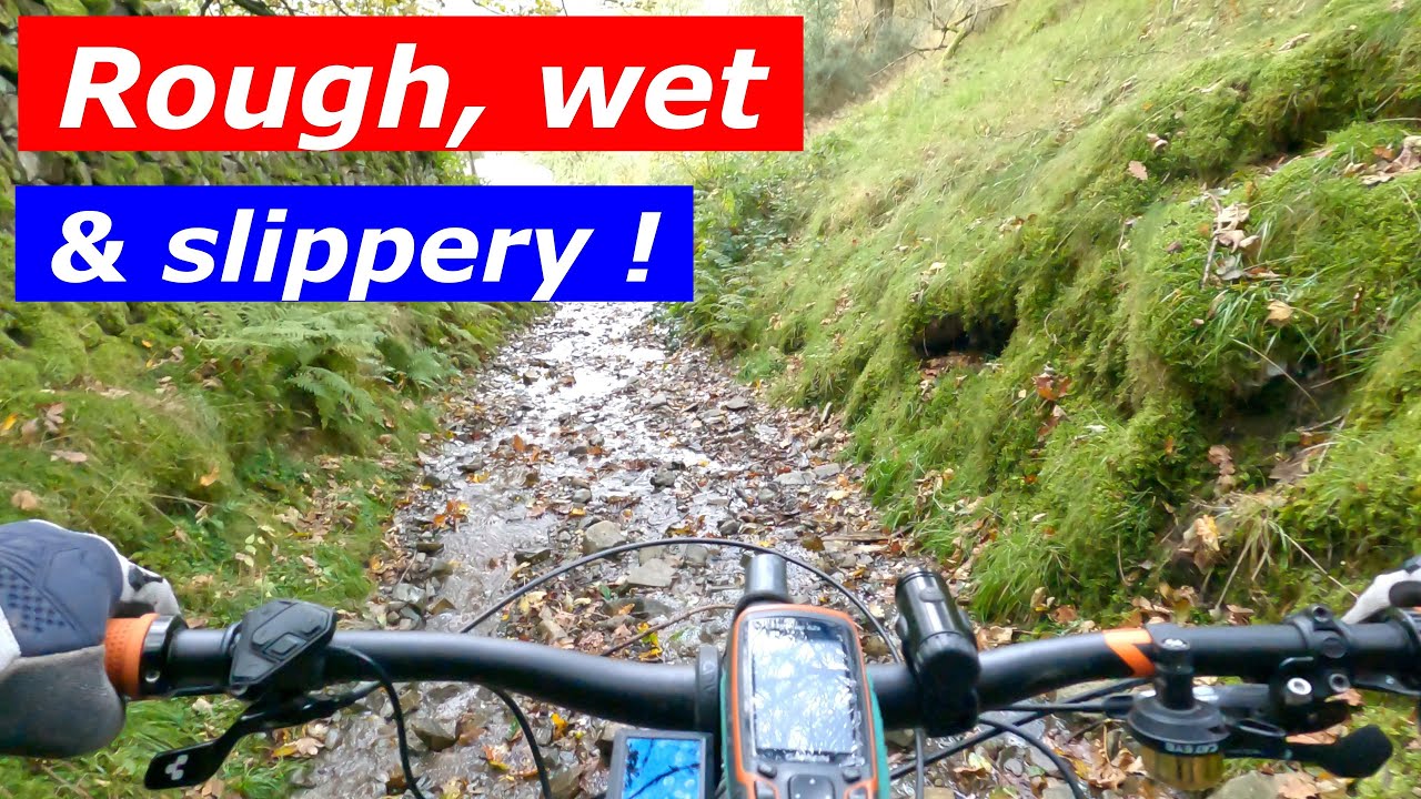 Grizedale, Iron Keld, Windermere, EMTB