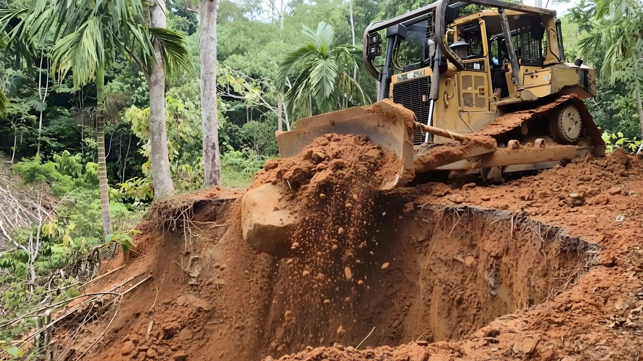 Unexpected!! Renewing Road for Palm Oil Plantation Using Old Dozer CAT D6R XL
