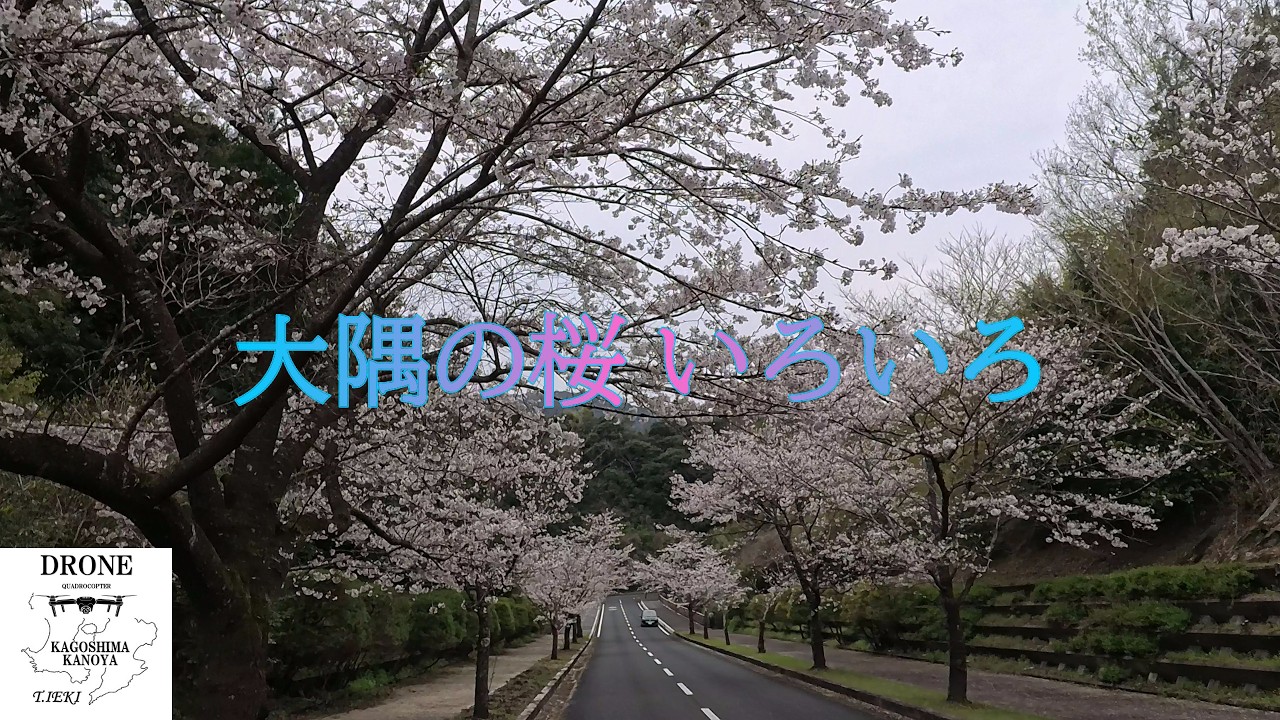 かごしまドローン散歩（４K）．．．～大隅の桜いろいろ～