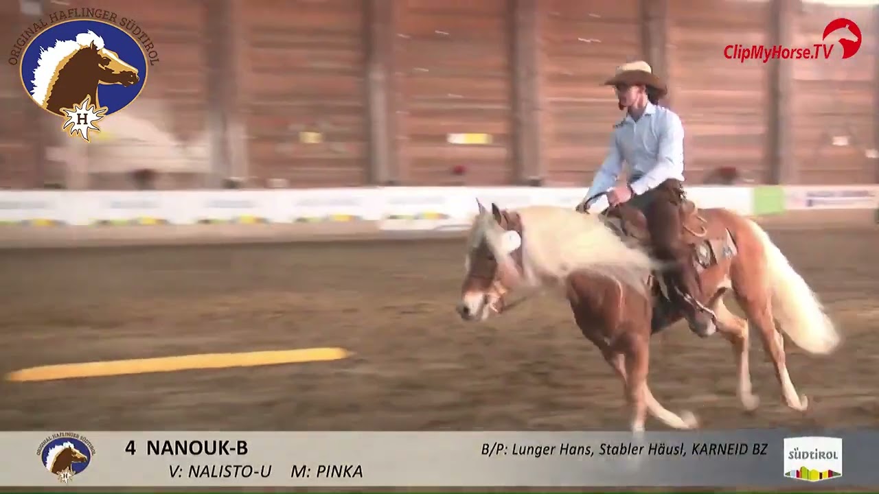 Hengstparade 2026 – NANOUK-B