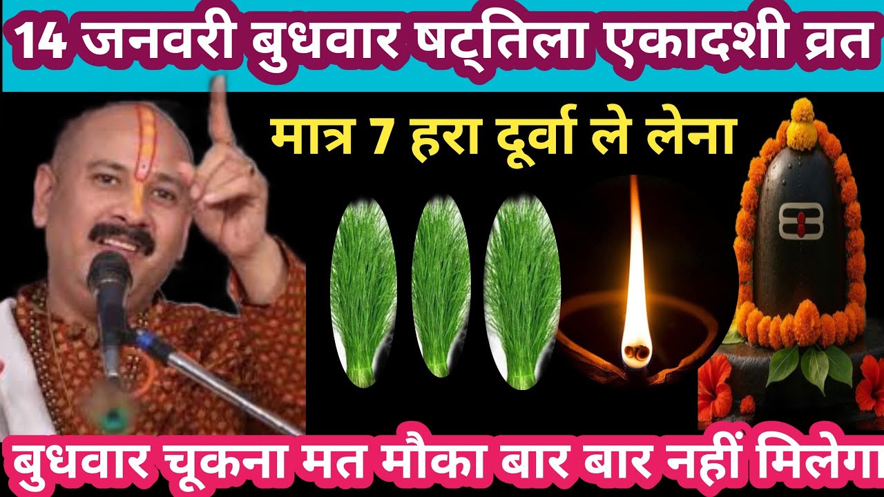 14 जनवरी बुधवार षट्तिला एकादशी व्रत विशेष मात्र 7 हरा दूर्वा ले लेना#ekadashi#upay#pradeepmishraji