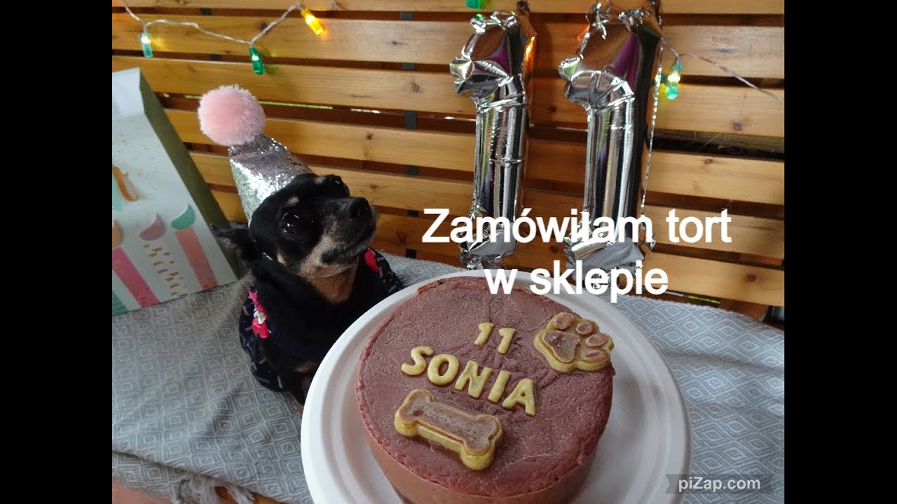 11 Urodziny Soni 🎂