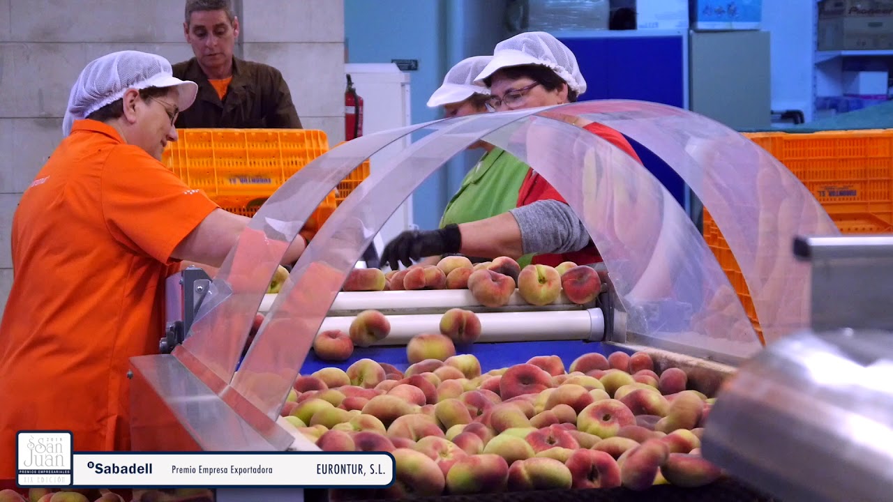 Empresa Exportadora: EURONTUR, S.L. (Ontur)